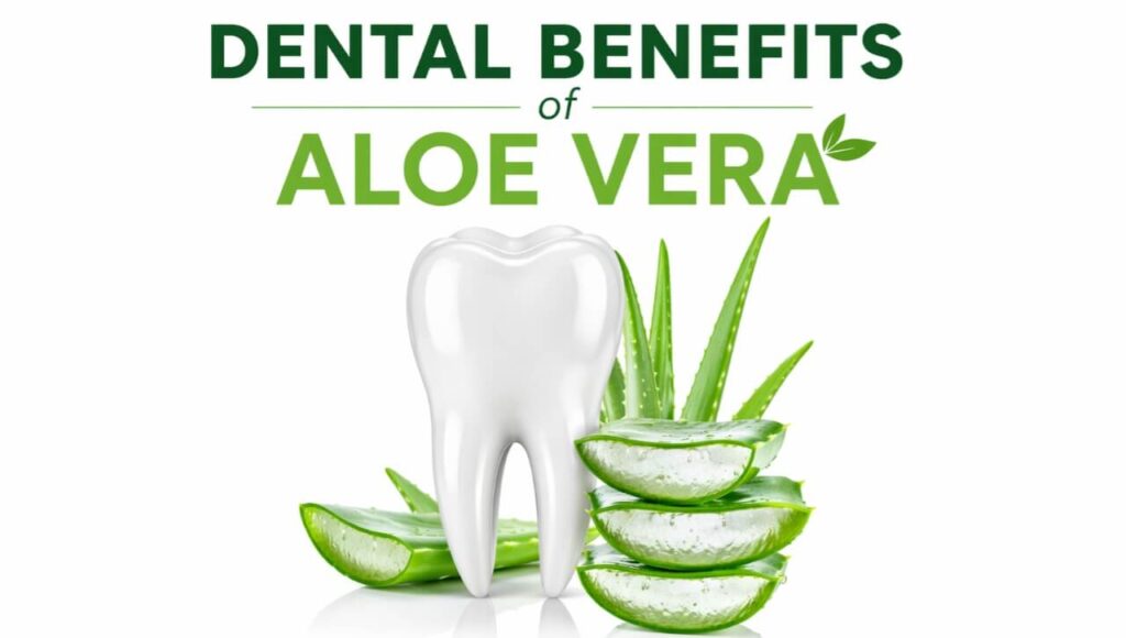 Aloe vera kaise danton ke plaque aur masoodon ki sujan ko kam karta hai.